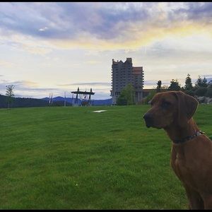 Meet your Posher, Menessa